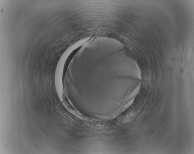 X0000064741010200603131313