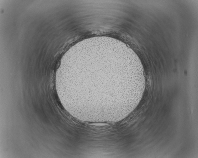 X0000064741012200603131313