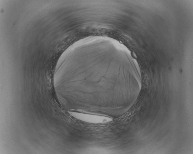 X0000064741013200603131313