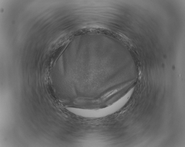 X0000064741014200603131313