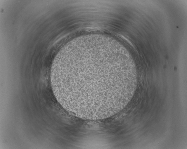 X0000064741015200603131313