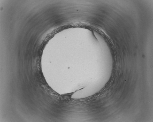 X0000064741016200603131313