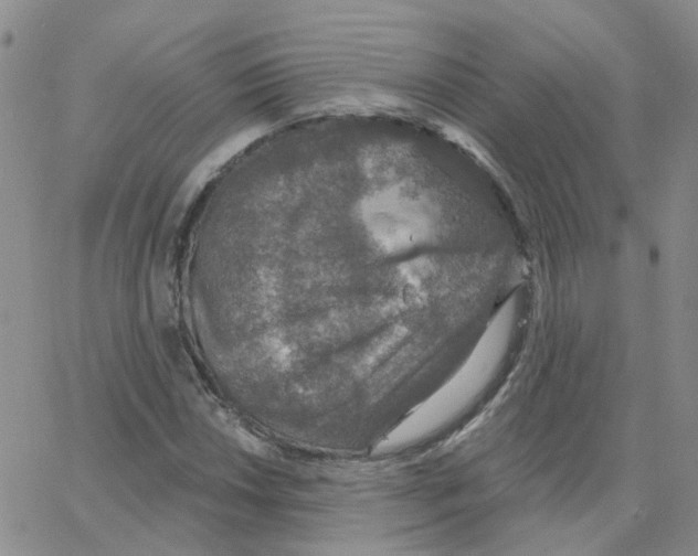 X0000064741018200603131313