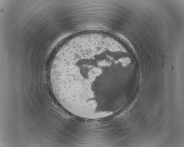 X0000064741019200603131313