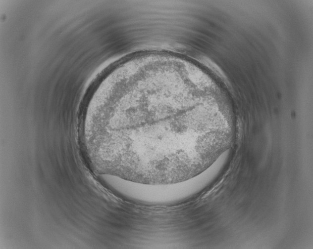 X0000064741020200603131313