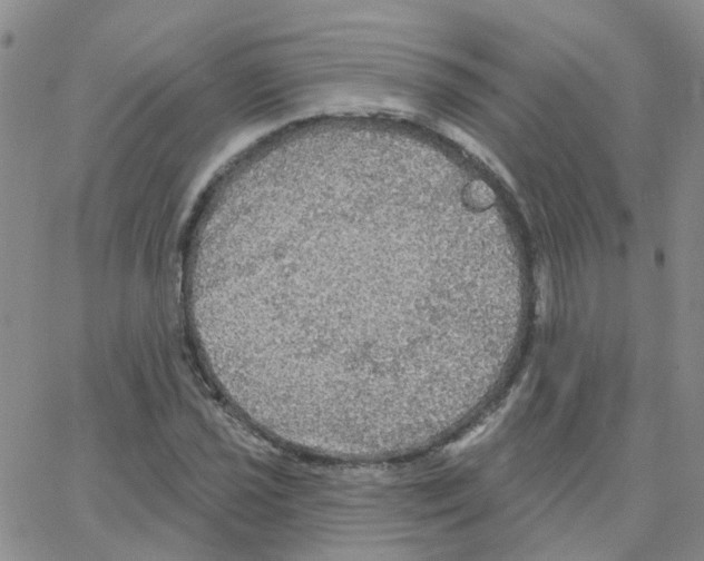 X0000064741021200603131313