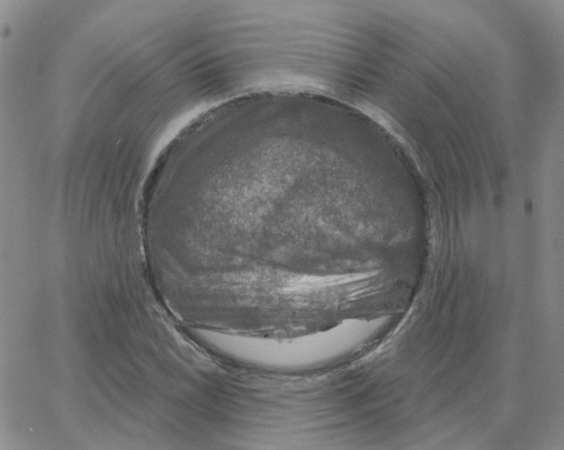 X0000064741022200603131313