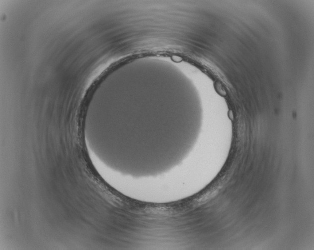 X0000064741023200603131313