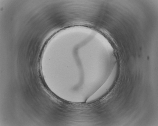 X0000064741024200603131313