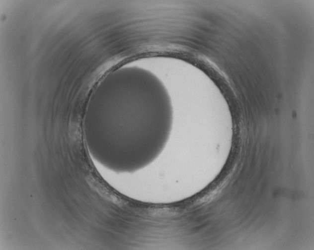 X0000064741025200603131313