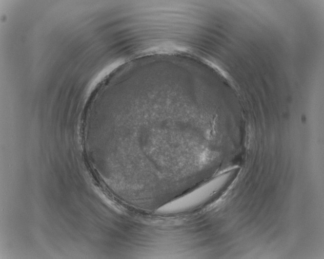 X0000064741026200603131313