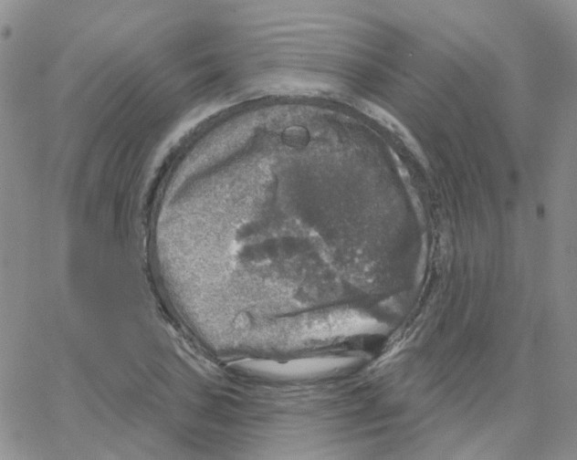 X0000064741027200603131313