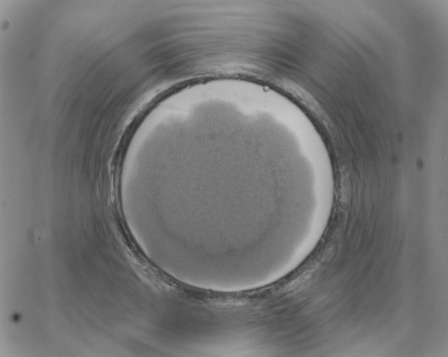 X0000064741031200603131313