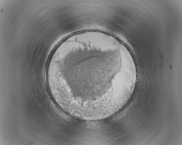 X0000064741032200603131313