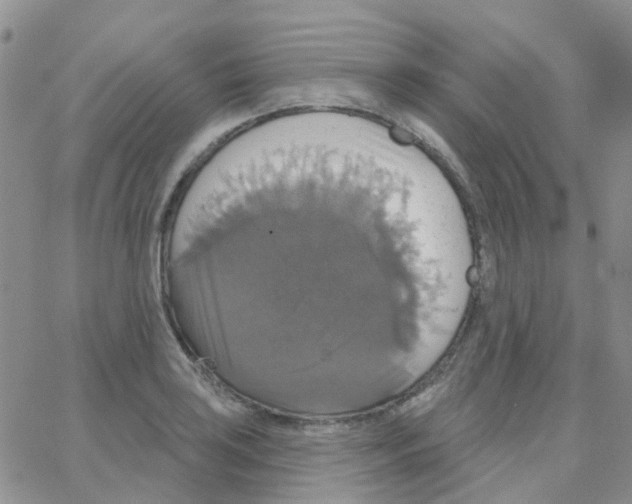 X0000064741035200603131313