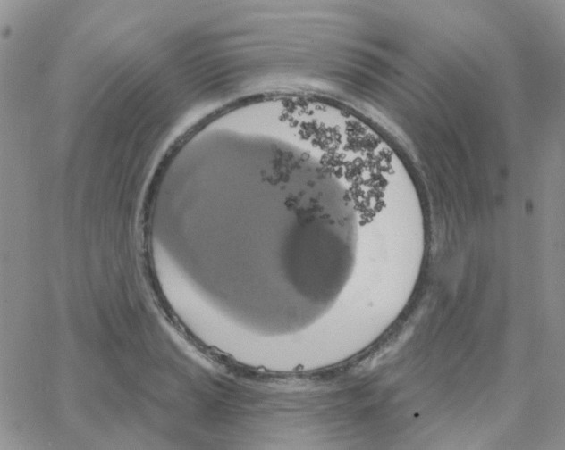 X0000064741037200603131313