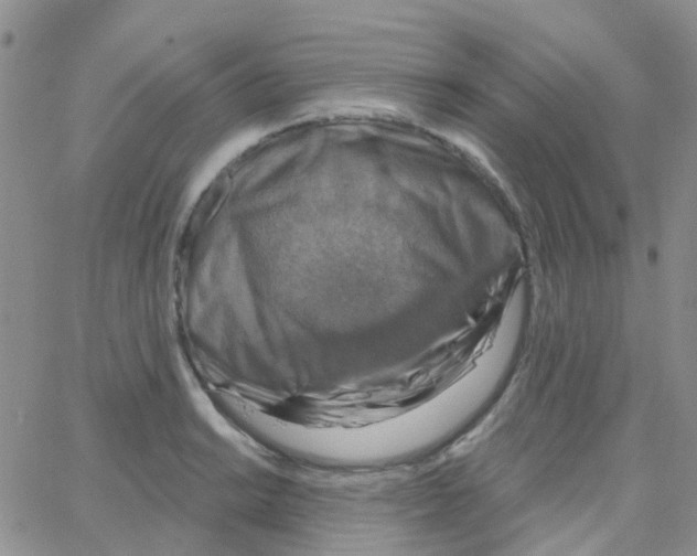 X0000064741038200603131313