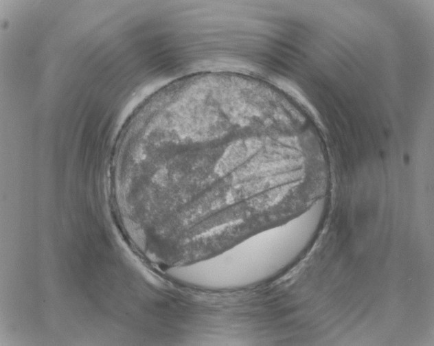 X0000064741040200603131313