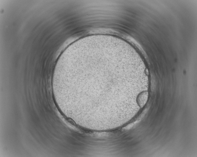 X0000064741041200603131313