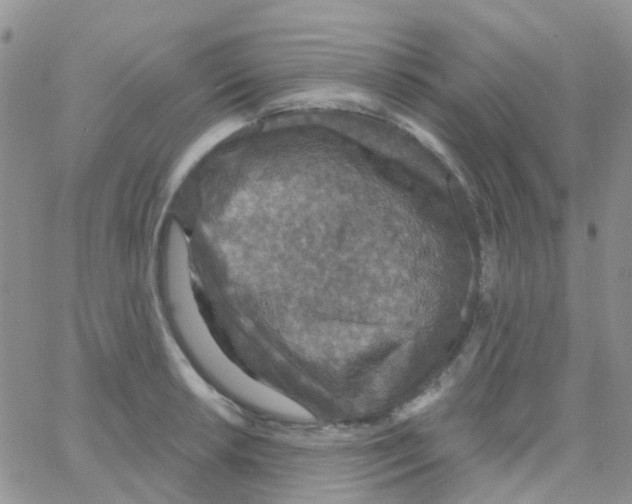 X0000064741042200603131313