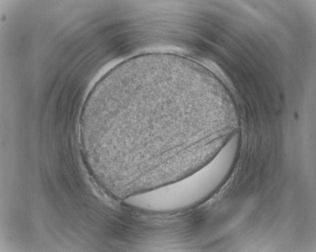 X0000064741044200603131313