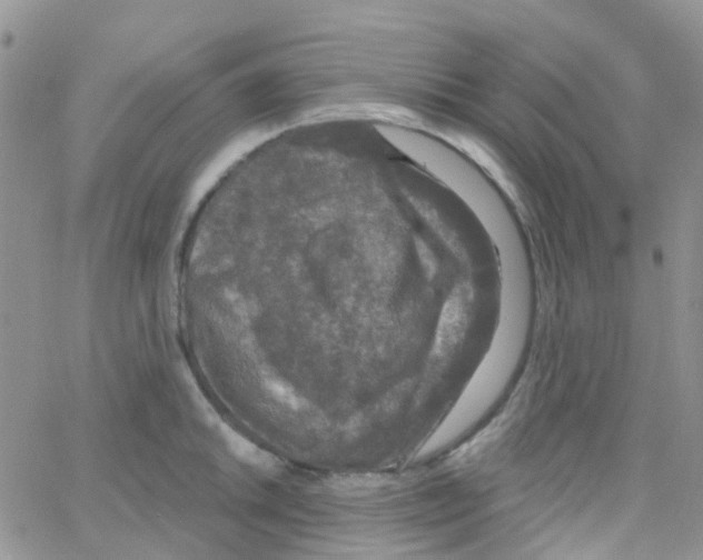 X0000064741046200603131313