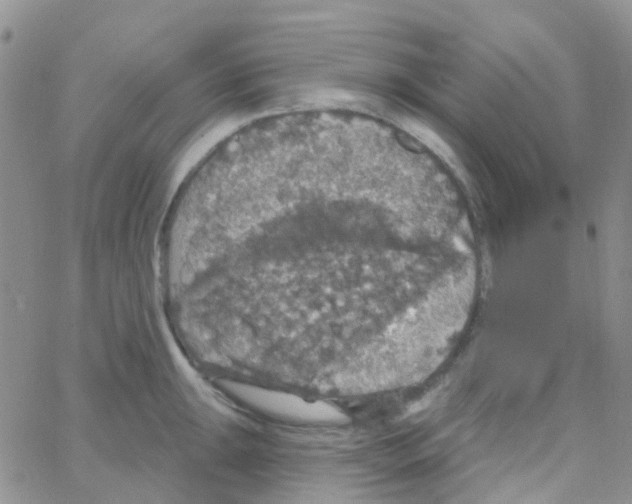 X0000064741047200603131313