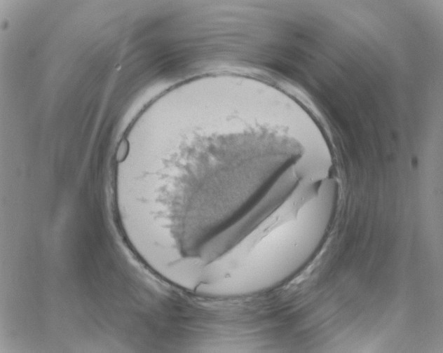 X0000064741048200603131313