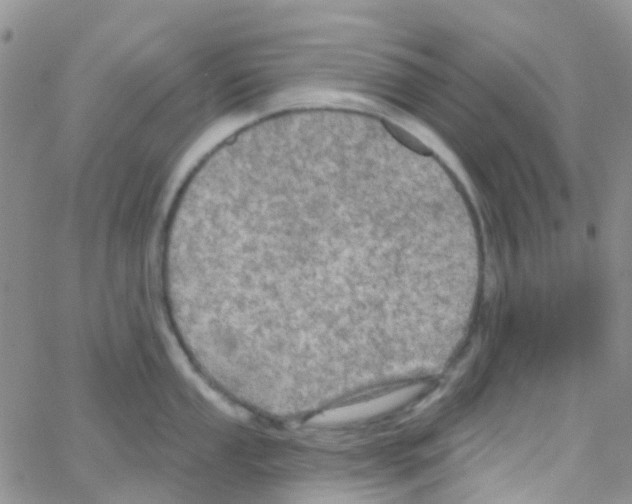 X0000064741053200603131313