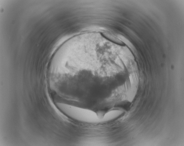 X0000064741055200603131313