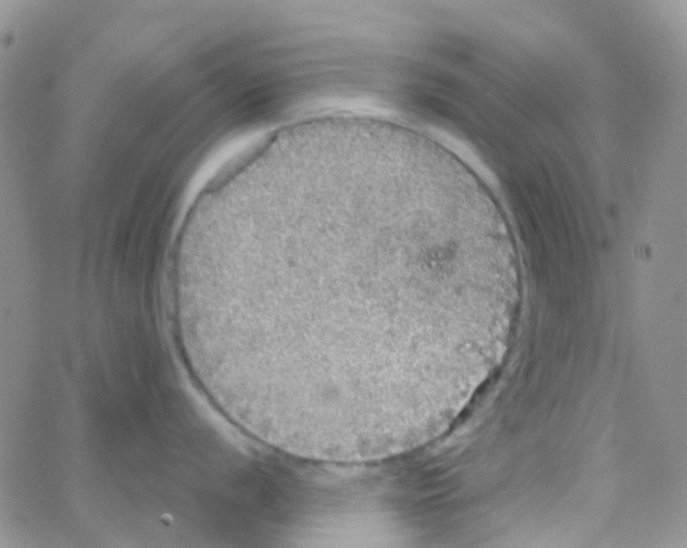 X0000064741056200603131313