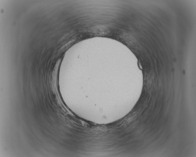 X0000064741058200603131313