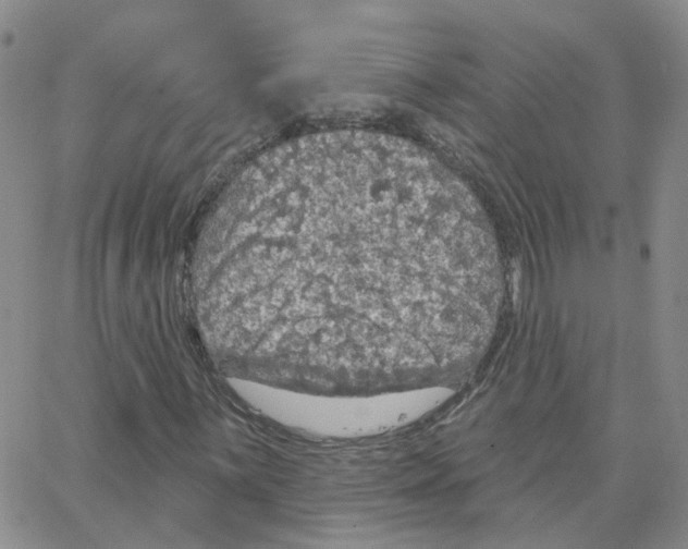 X0000064741059200603131313