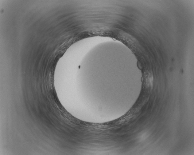 X0000064741060200603131313