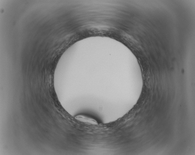 X0000064741061200603131313