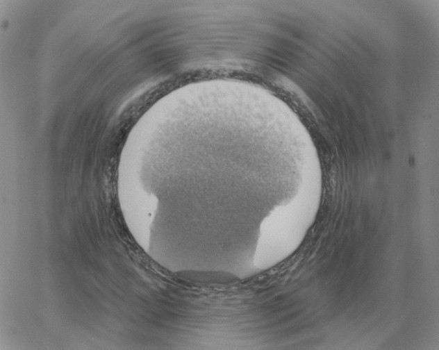 X0000064741064200603131313