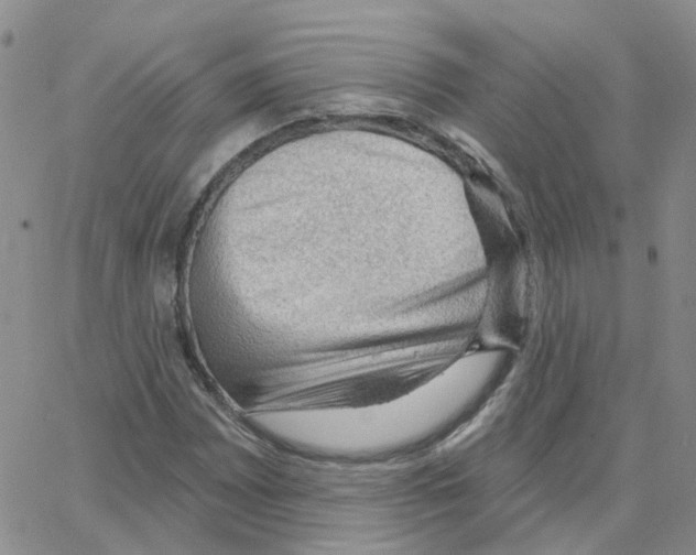 X0000064741065200603131313