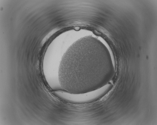 X0000064741066200603131312