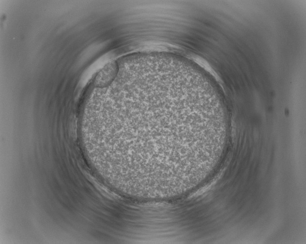 X0000064741067200603131312