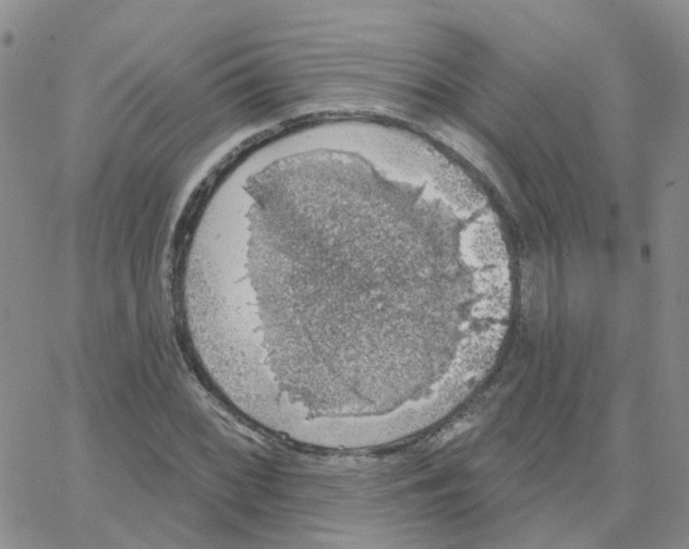 X0000064741068200603131312