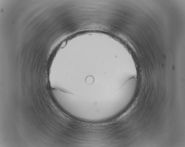 X0000064741069200603131312