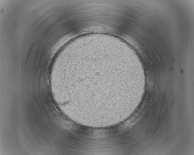 X0000064741070200603131312