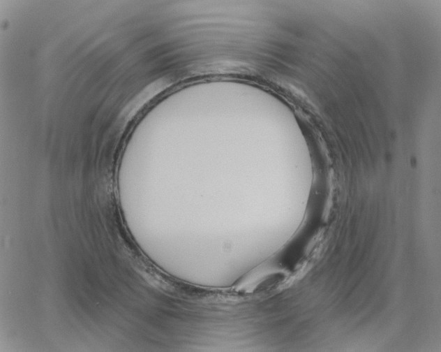 X0000064741073200603131312