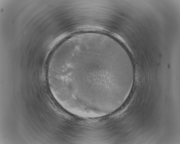 X0000064741074200603131312