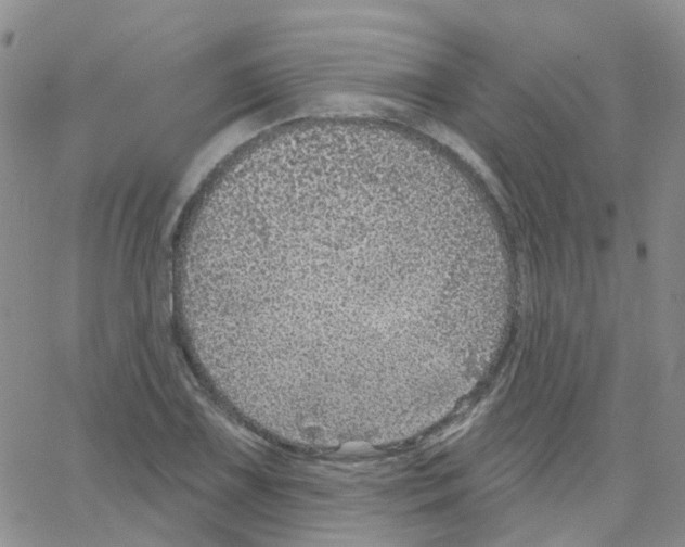 X0000064741075200603131312