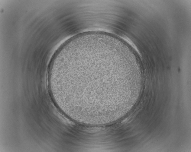 X0000064741076200603131312