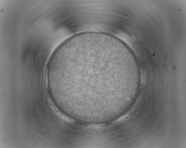 X0000064741078200603131312