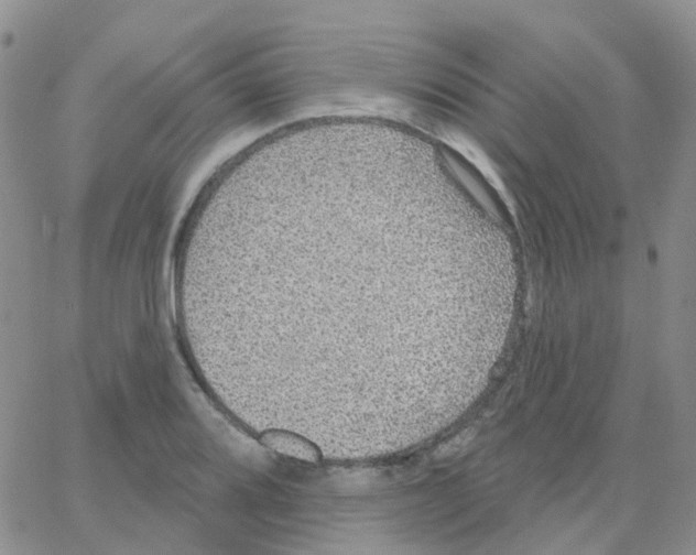 X0000064741080200603131312