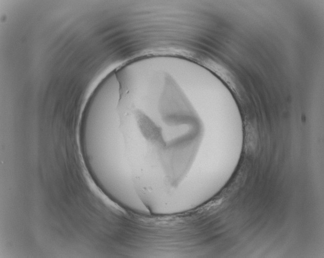 X0000064741084200603131312