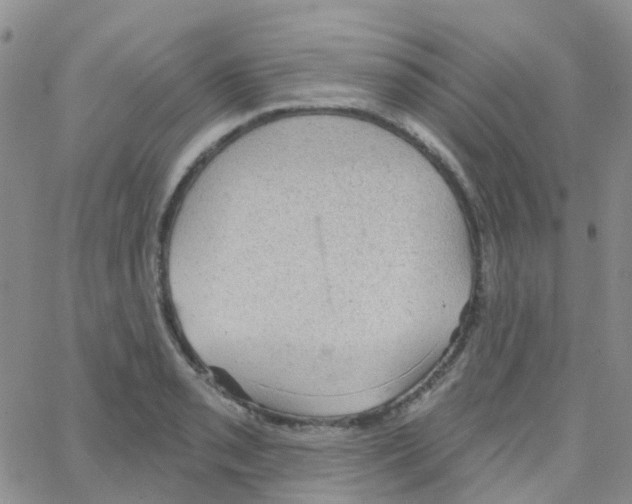 X0000064741085200603131312